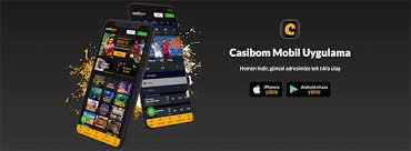 Casibom Kayıp Bonus